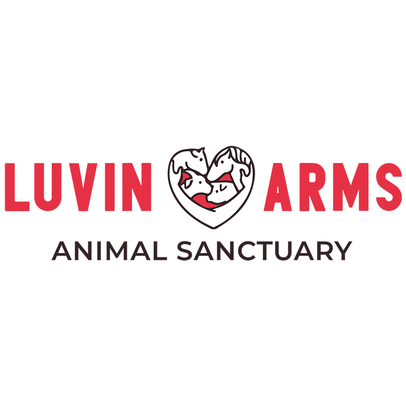 Luvin Arms Animal Sanctuary
